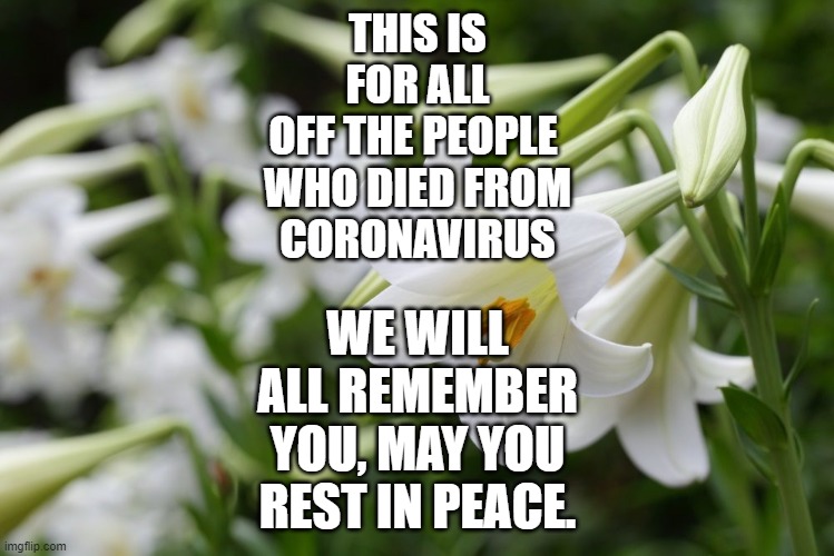 You will be remembered. | THIS IS
FOR ALL
OFF THE PEOPLE 
WHO DIED FROM
CORONAVIRUS; WE WILL
ALL REMEMBER
YOU, MAY YOU
REST IN PEACE. | image tagged in covid-19,rest in peace,remember | made w/ Imgflip meme maker