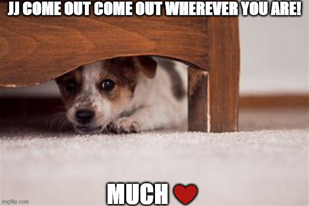 JJ COME OUT COME OUT WHEREVER YOU ARE! MUCH ❤️ | image tagged in political | made w/ Imgflip meme maker