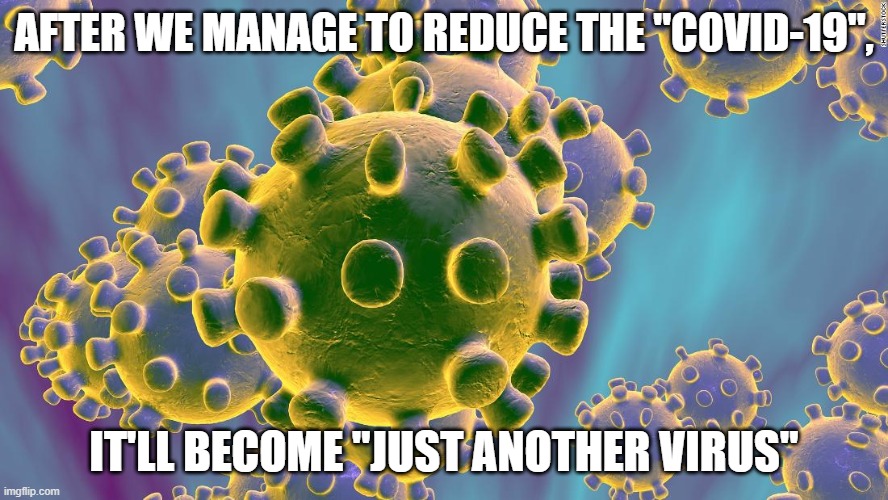 Coronavirus | AFTER WE MANAGE TO REDUCE THE "COVID-19", IT'LL BECOME "JUST ANOTHER VIRUS" | image tagged in coronavirus | made w/ Imgflip meme maker