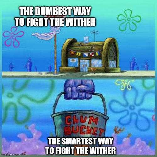 Krusty Krab Vs Chum Bucket Meme | THE DUMBEST WAY TO FIGHT THE WITHER; THE SMARTEST WAY TO FIGHT THE WITHER | image tagged in memes,krusty krab vs chum bucket | made w/ Imgflip meme maker