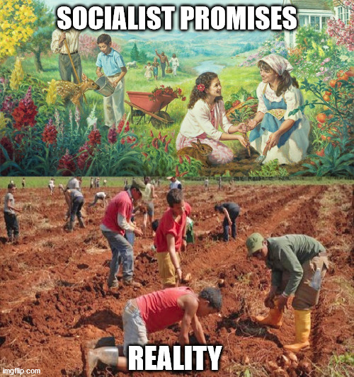 Socialist promises | SOCIALIST PROMISES; REALITY | image tagged in socialism | made w/ Imgflip meme maker