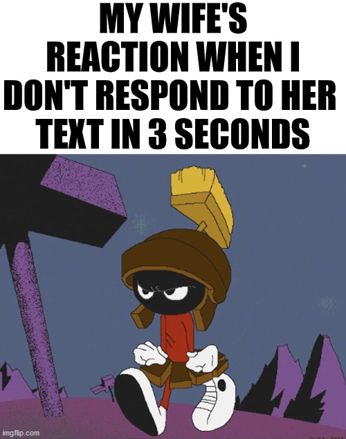 MY WIFE'S REACTION WHEN I DON'T RESPOND TO HER 
TEXT IN 3 SECONDS | made w/ Imgflip meme maker