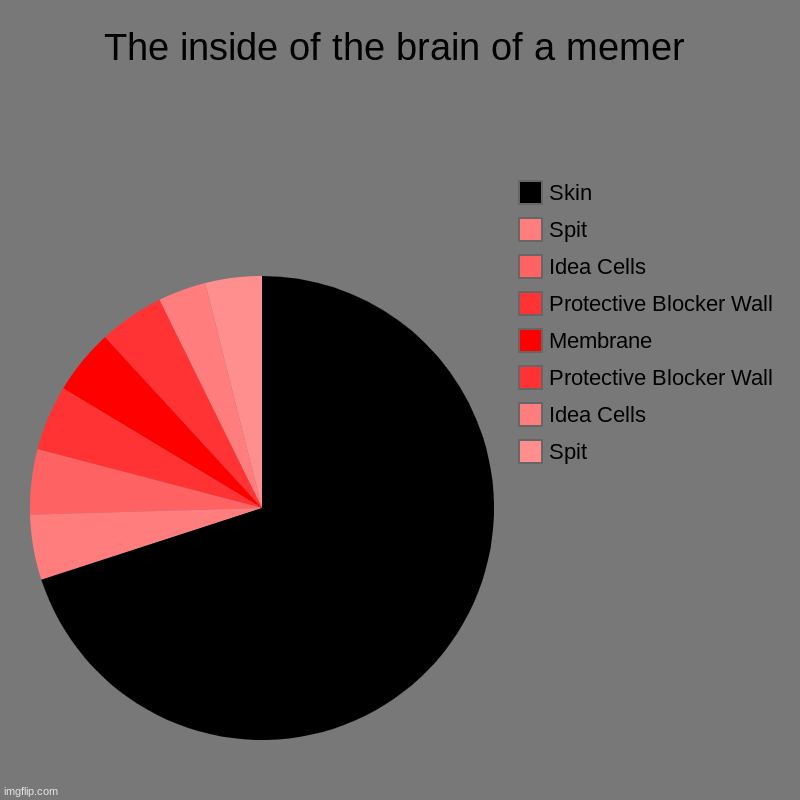 The inside of the brain of a memer | Spit, Idea Cells, Protective Blocker Wall, Membrane, Protective Blocker Wall, Idea Cells, Spit, Skin | image tagged in charts,pie charts | made w/ Imgflip chart maker