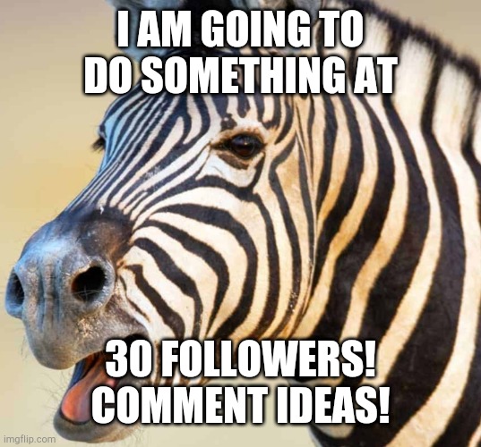 Happy Zebra | I AM GOING TO DO SOMETHING AT; 30 FOLLOWERS! COMMENT IDEAS! | image tagged in happy zebra | made w/ Imgflip meme maker