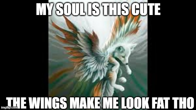 My cute fat soul | MY SOUL IS THIS CUTE; THE WINGS MAKE ME LOOK FAT THO | image tagged in lol,funny | made w/ Imgflip meme maker