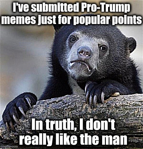 sad bear | I've submitted Pro-Trump memes just for popular points; In truth, I don't really like the man | image tagged in confession bear | made w/ Imgflip meme maker