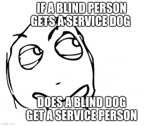 hmmm | IF A BLIND PERSON GETS A SERVICE DOG DOES A BLIND DOG GET A SERVICE PERSON | image tagged in hmmm | made w/ Imgflip meme maker