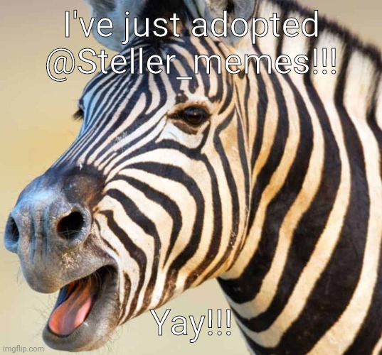 Happy Zebra | I've just adopted @Steller_memes!!! Yay!!! | image tagged in happy zebra | made w/ Imgflip meme maker