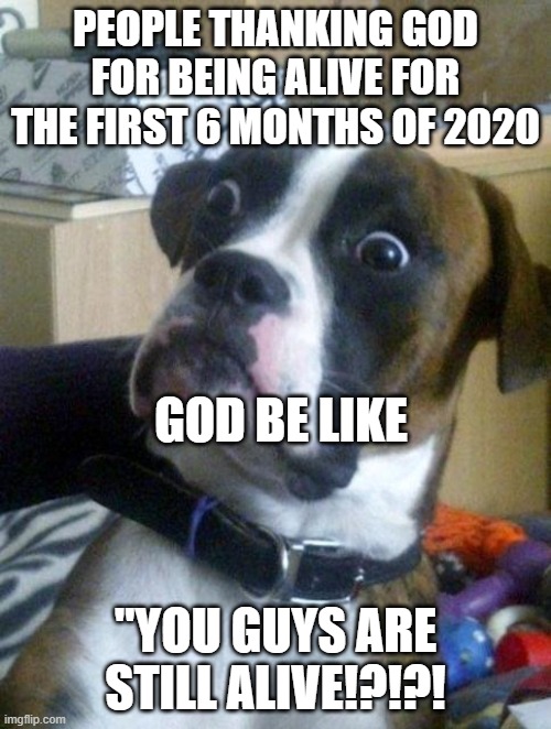 Suprised Boxer | PEOPLE THANKING GOD FOR BEING ALIVE FOR THE FIRST 6 MONTHS OF 2020; GOD BE LIKE; "YOU GUYS ARE STILL ALIVE!?!?! | image tagged in suprised boxer,funny,2020 | made w/ Imgflip meme maker