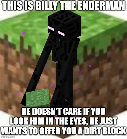 Billy the enderman | THIS IS BILLY THE ENDERMAN; HE DOESN'T CARE IF YOU LOOK HIM IN THE EYES, HE JUST WANTS TO OFFER YOU A DIRT BLOCK | image tagged in minecraft,funny,enderman,dirt,memes,coronavirus | made w/ Imgflip meme maker