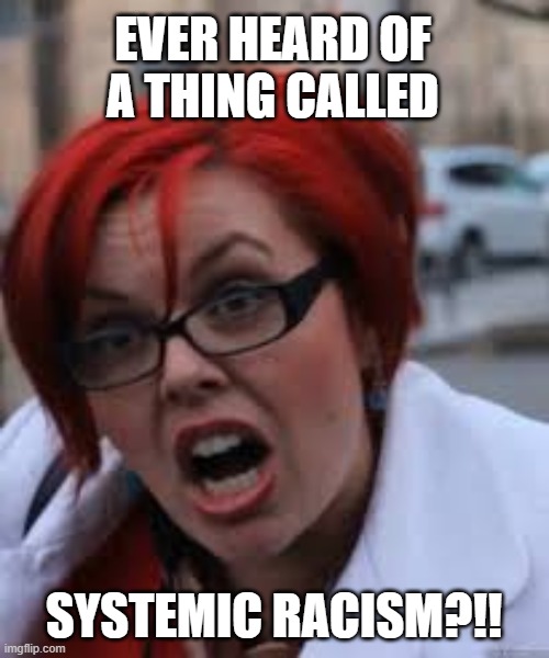 SJW Triggered | EVER HEARD OF A THING CALLED SYSTEMIC RACISM?!! | image tagged in sjw triggered | made w/ Imgflip meme maker