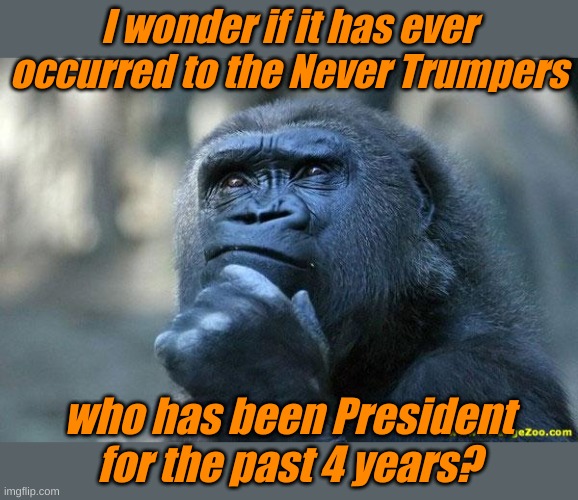 Never say never. | I wonder if it has ever occurred to the Never Trumpers; who has been President for the past 4 years? | image tagged in deep thoughts | made w/ Imgflip meme maker