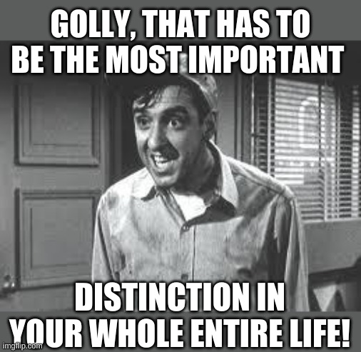 Gomer Pyle | GOLLY, THAT HAS TO BE THE MOST IMPORTANT DISTINCTION IN YOUR WHOLE ENTIRE LIFE! | image tagged in gomer pyle | made w/ Imgflip meme maker