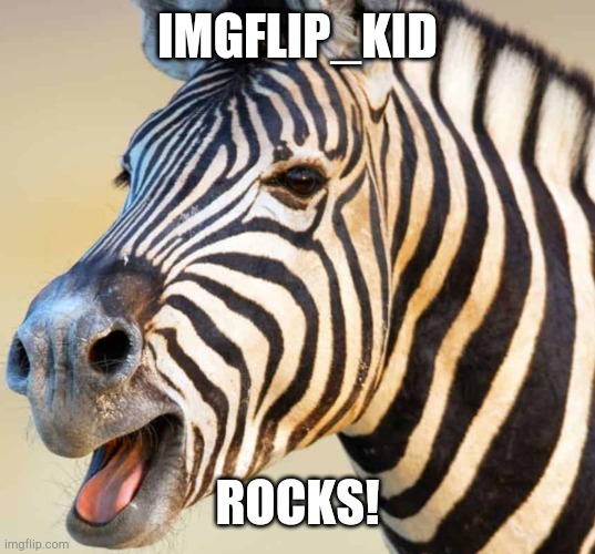 Happy Zebra | IMGFLIP_KID; ROCKS! | image tagged in happy zebra | made w/ Imgflip meme maker