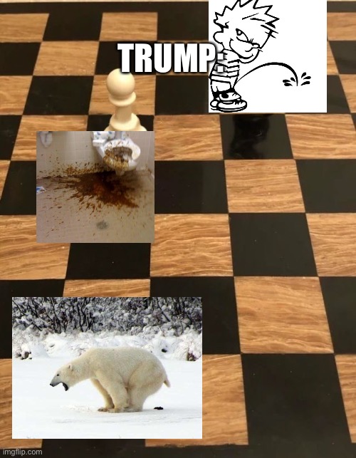 Chess Knight Pawn Rook | TRUMP: | image tagged in chess knight pawn rook | made w/ Imgflip meme maker
