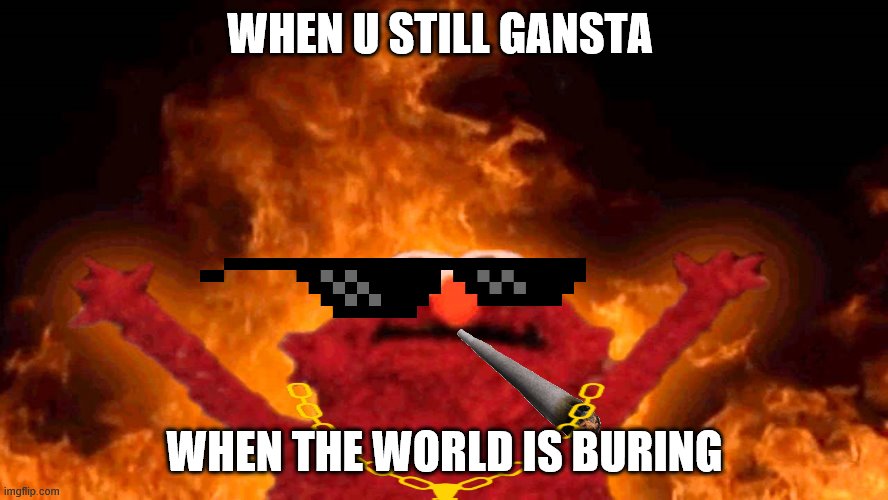 elmo fire | WHEN U STILL GANSTA; WHEN THE WORLD IS BURING | image tagged in elmo fire | made w/ Imgflip meme maker