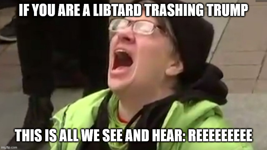Screaming Liberal  | IF YOU ARE A LIBTARD TRASHING TRUMP THIS IS ALL WE SEE AND HEAR: REEEEEEEEE | image tagged in screaming liberal | made w/ Imgflip meme maker