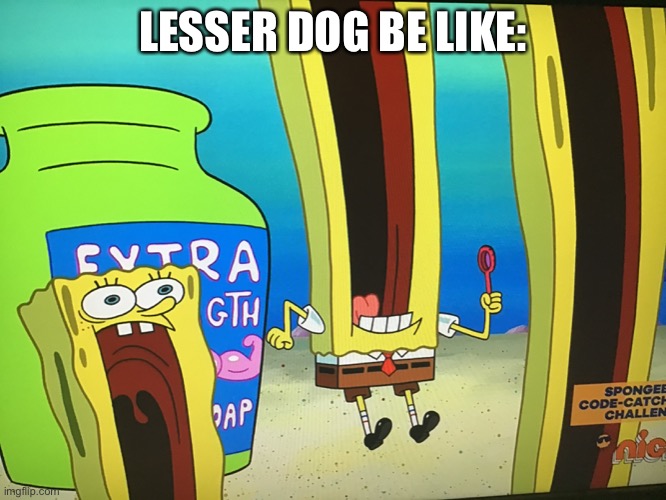 Lesser dog has some competition | LESSER DOG BE LIKE: | image tagged in undertale | made w/ Imgflip meme maker