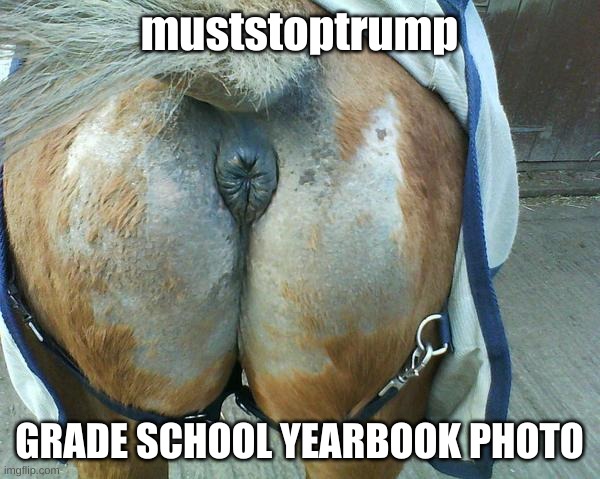 Horse's Ass | muststoptrump GRADE SCHOOL YEARBOOK PHOTO | image tagged in horse's ass | made w/ Imgflip meme maker