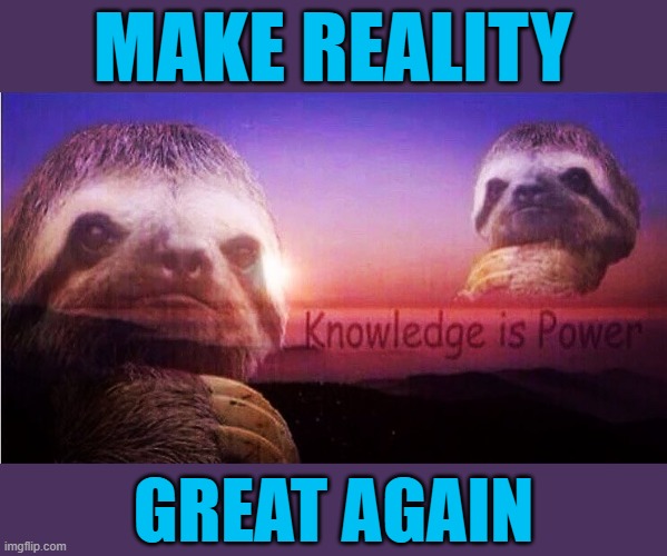 Sloth Knowledge is power | MAKE REALITY GREAT AGAIN | image tagged in sloth knowledge is power | made w/ Imgflip meme maker
