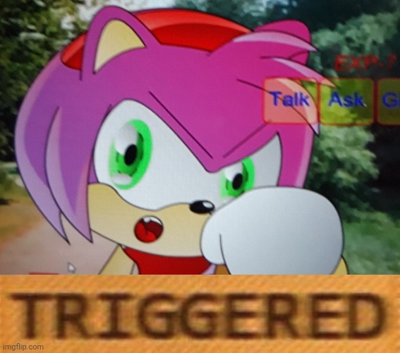 Amy is triggered | image tagged in sonic,triggerd,memes,amy rose | made w/ Imgflip meme maker