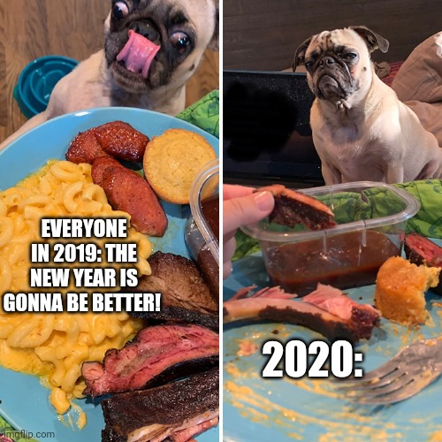 High Hopes | EVERYONE IN 2019: THE NEW YEAR IS GONNA BE BETTER! 2020: | image tagged in funny,hope,dogs,funny memes,memes | made w/ Imgflip meme maker
