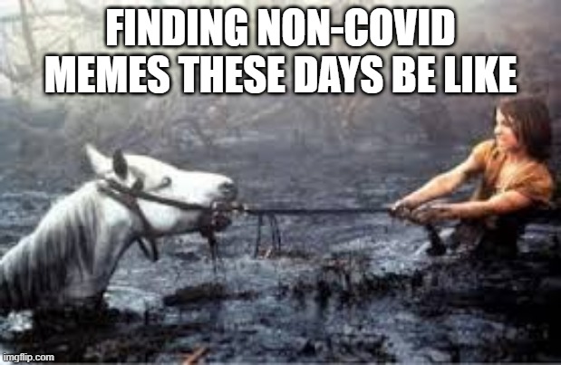 Feels like that sometimes... | FINDING NON-COVID MEMES THESE DAYS BE LIKE | image tagged in funny memes,so true memes,dark humor | made w/ Imgflip meme maker