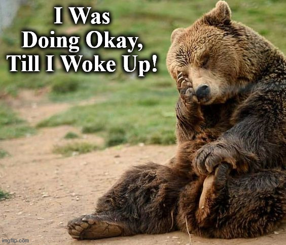 bear | I Was Doing Okay, Till I Woke Up! | image tagged in bear | made w/ Imgflip meme maker