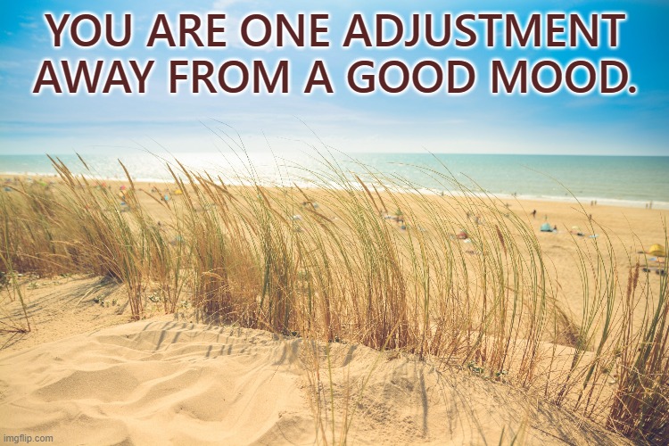 Good Mood | YOU ARE ONE ADJUSTMENT AWAY FROM A GOOD MOOD. | image tagged in good mood | made w/ Imgflip meme maker