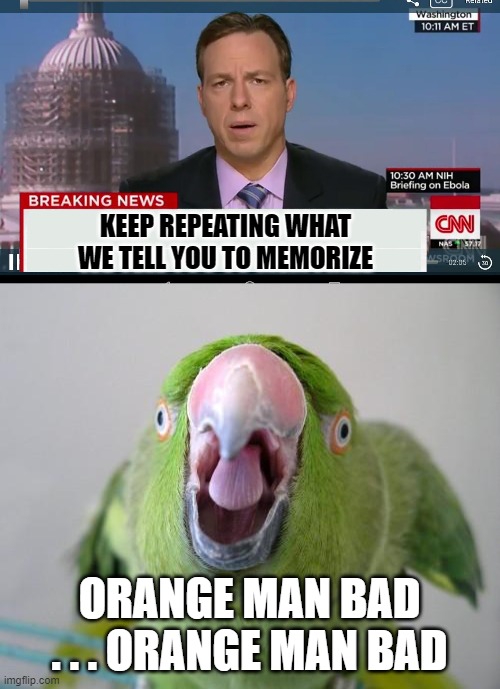 KEEP REPEATING WHAT WE TELL YOU TO MEMORIZE ORANGE MAN BAD . . . ORANGE MAN BAD | image tagged in parrot,cnn breaking news template | made w/ Imgflip meme maker