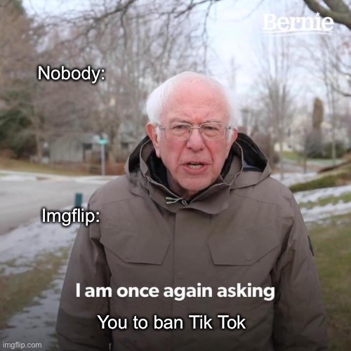 Bernie I Am Once Again Asking For Your Support | Nobody:; Imgflip:; You to ban Tik Tok | image tagged in memes,bernie i am once again asking for your support | made w/ Imgflip meme maker