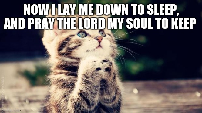 Praying cat | NOW I LAY ME DOWN TO SLEEP, AND PRAY THE LORD MY SOUL TO KEEP | image tagged in praying cat | made w/ Imgflip meme maker