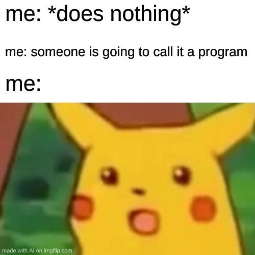 excuse me what | me: *does nothing*; me: someone is going to call it a program; me: | image tagged in memes,surprised pikachu | made w/ Imgflip meme maker