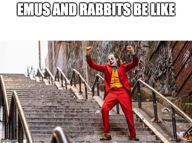 the first nation run by animals | EMUS AND RABBITS BE LIKE | image tagged in joker stairs | made w/ Imgflip meme maker