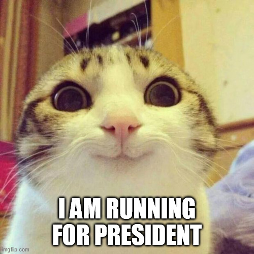 Smiling Cat | I AM RUNNING FOR PRESIDENT | image tagged in memes,smiling cat | made w/ Imgflip meme maker