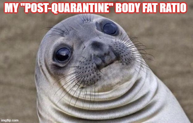 I'm going to exercise more in 2020 | MY "POST-QUARANTINE" BODY FAT RATIO | image tagged in mcdonald's fat boy,quarantine | made w/ Imgflip meme maker