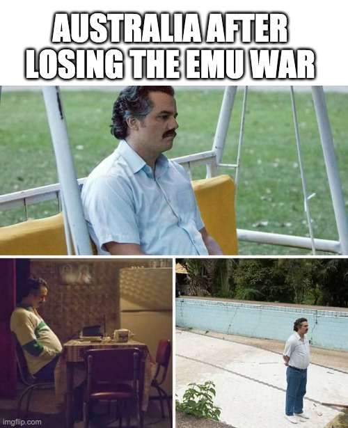 Darn, we lost... to emus and rabbits | AUSTRALIA AFTER LOSING THE EMU WAR | image tagged in memes,sad pablo escobar | made w/ Imgflip meme maker