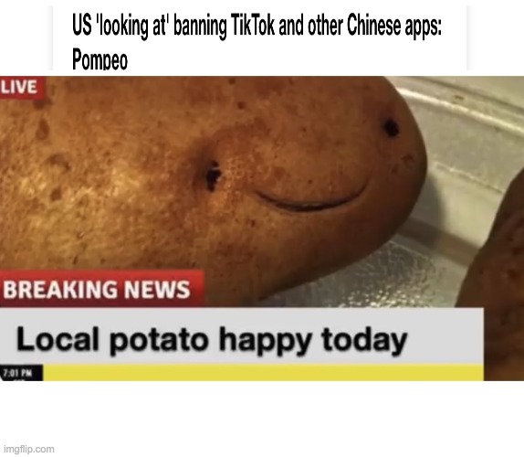 Local Potato happy today | image tagged in local potato happy today | made w/ Imgflip meme maker