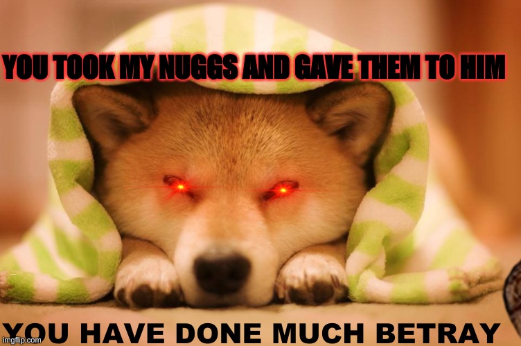 YOU HAVE DONE MUCH BETRAY | YOU TOOK MY NUGGS AND GAVE THEM TO HIM; HOW DARE YOU BETRAY; why you call him good boi; YOU HAVE DONE MUCH BETRAY | image tagged in angery | made w/ Imgflip meme maker