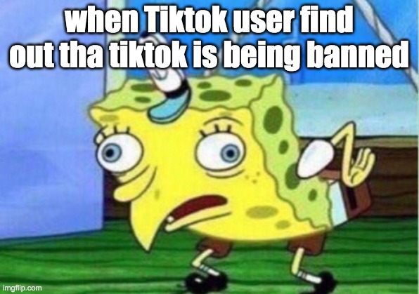 OOF | when Tiktok user find out tha tiktok is being banned | image tagged in memes,mocking spongebob | made w/ Imgflip meme maker