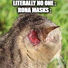 me ears | LITERALLY NO ONE :
RONA MASKS : | image tagged in coronavirus,covid-19,funny memes,dank memes,so true memes,coronavirus meme | made w/ Imgflip meme maker