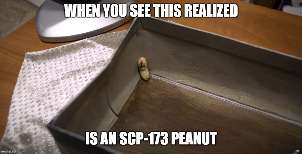 meme | WHEN YOU SEE THIS REALIZED; IS AN SCP-173 PEANUT | image tagged in scp meme,peanuts,box | made w/ Imgflip meme maker