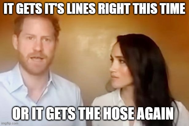 Help me someone please | IT GETS IT'S LINES RIGHT THIS TIME; OR IT GETS THE HOSE AGAIN | image tagged in prince harry,meghan markle | made w/ Imgflip meme maker