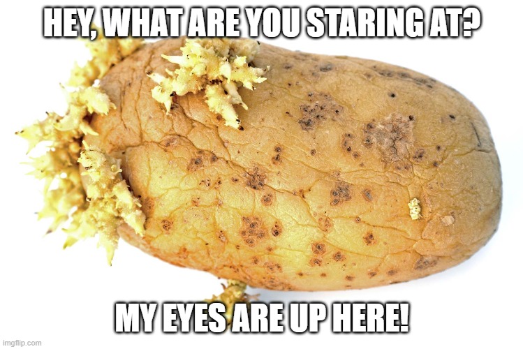 Just a little potato humor for your day... | HEY, WHAT ARE YOU STARING AT? MY EYES ARE UP HERE! | image tagged in potato,eyes,my eyes are up here,staring,hyuck hyuck | made w/ Imgflip meme maker