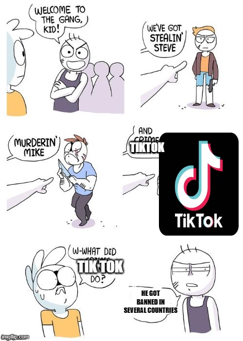 haha, yes die trash. | TIKTOK; TIK TOK; HE GOT BANNED IN SEVERAL COUNTRIES | image tagged in crimes johnson,tiktok,welcome to the gang,memes,funny | made w/ Imgflip meme maker