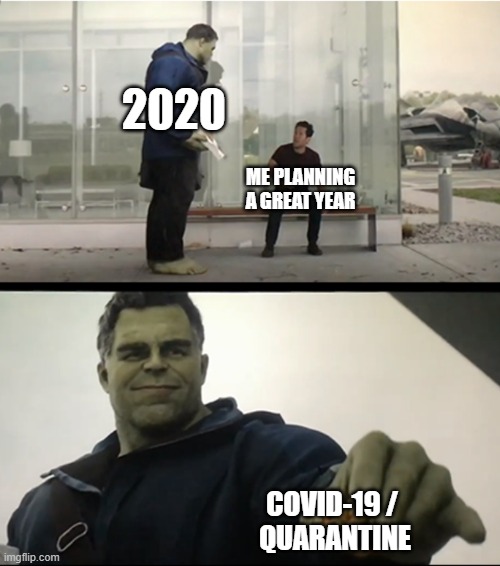 Hulk gives Antman taco | 2020; ME PLANNING A GREAT YEAR; COVID-19 / 
QUARANTINE | image tagged in hulk gives antman taco | made w/ Imgflip meme maker