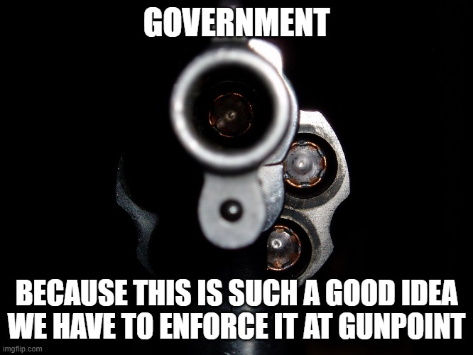 GunPoint | GOVERNMENT BECAUSE THIS IS SUCH A GOOD IDEA
WE HAVE TO ENFORCE IT AT GUNPOINT | image tagged in gunpoint | made w/ Imgflip meme maker