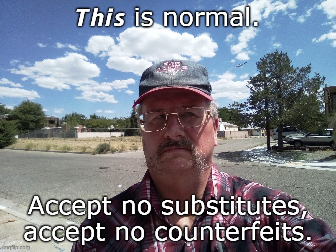 this is normal | 𝙏𝙝𝙞𝙨 is normal. Accept no substitutes, accept no counterfeits. | image tagged in normal,mask,covid | made w/ Imgflip meme maker