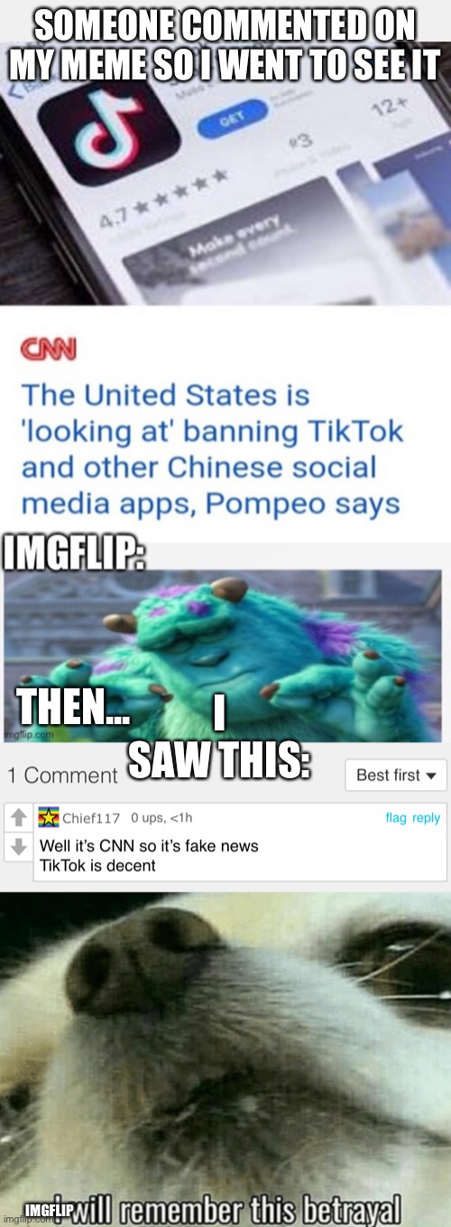 This dude doesn’t deserve to be on imgflip | SOMEONE COMMENTED ON MY MEME SO I WENT TO SEE IT; THEN... I SAW THIS:; IMGFLIP | image tagged in betrayed | made w/ Imgflip meme maker