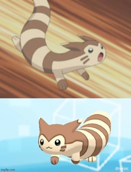 image tagged in angry furret,furret walcc | made w/ Imgflip meme maker